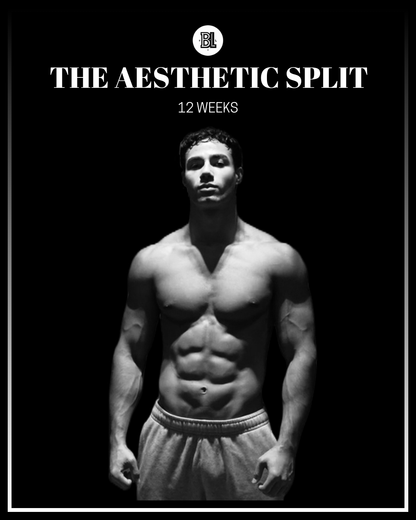 THE AESTHETIC GUIDE