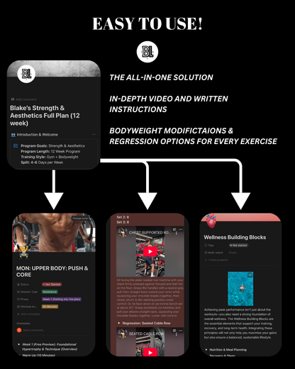 THE AESTHETIC GUIDE